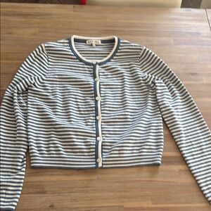 Alex Mill Blue and White Striped Cardigan